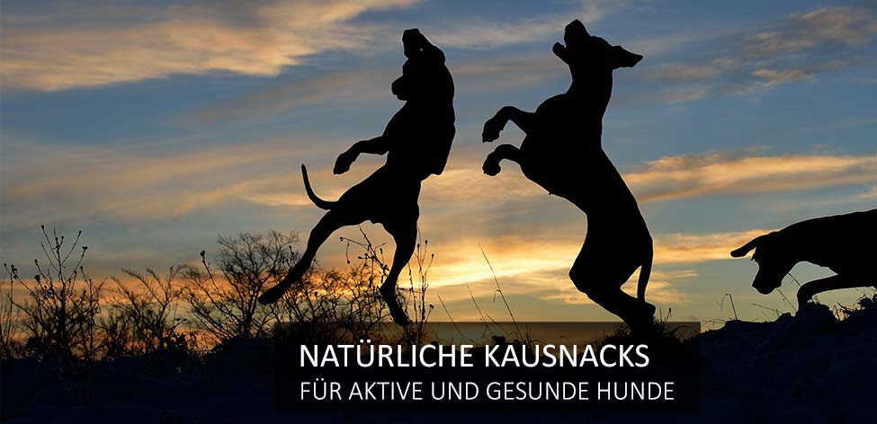 kausnacks aktive gesunde hunde